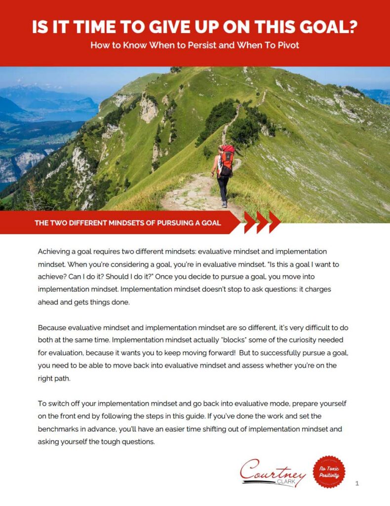 Courtney Clark Goal Pursuit Guide cover
